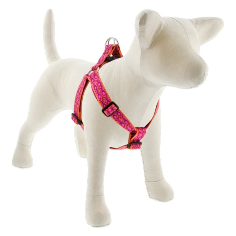 Lupine Pet Dog 1 In Wide 19-28 In Step  In Harness Original Designs Aplen Glow