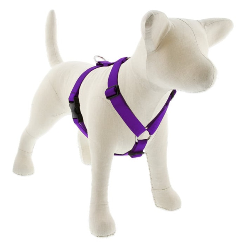 Lupine Pet Dog 1 In Wide 24-38 In Roman Harness Basics Purple