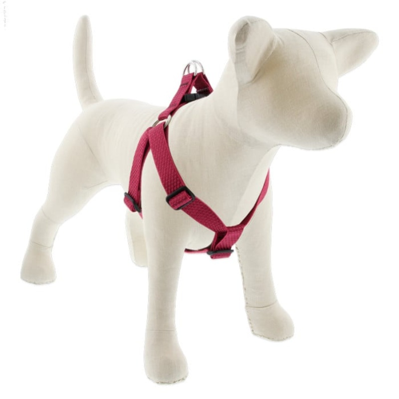 Lupine Pet Dog 1 In Wide 24-38 In Step  In Harness Eco Berry