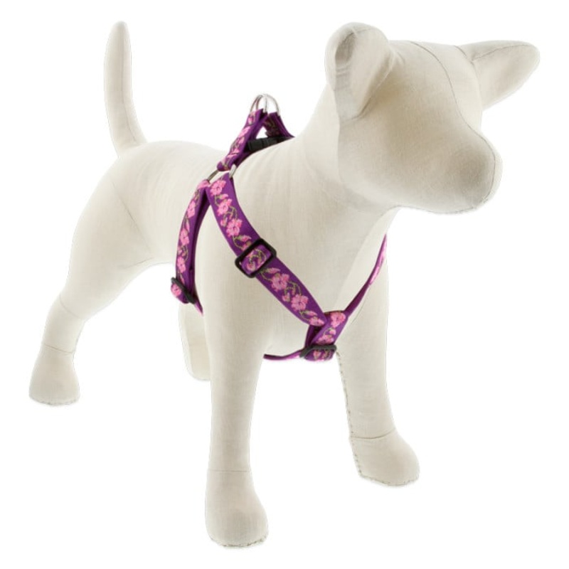 Lupine Pet Dog 1 In Wide 24-38 In Step  In Harness Original Designs Rose Garden