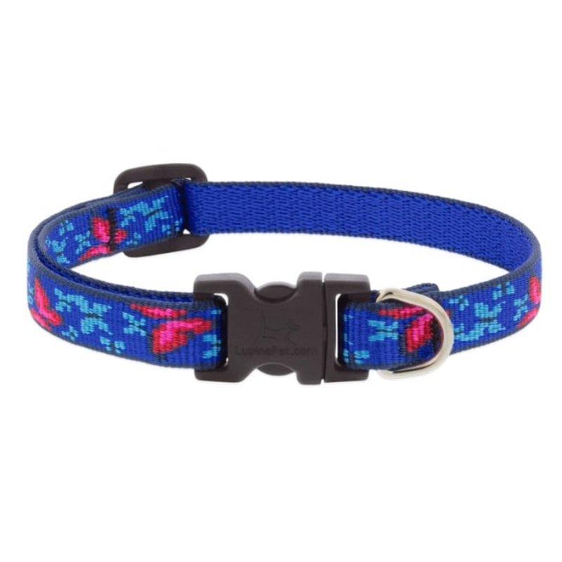 Lupine Pet Dog  1/2 In Wide 10-16 In Adjustable Collar Origianal Designs Social Butterfly