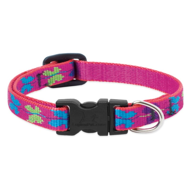 Lupine Pet Dog  1/2 In Wide 10-16 In Adjustable Collar Origianal Designs W Ing It