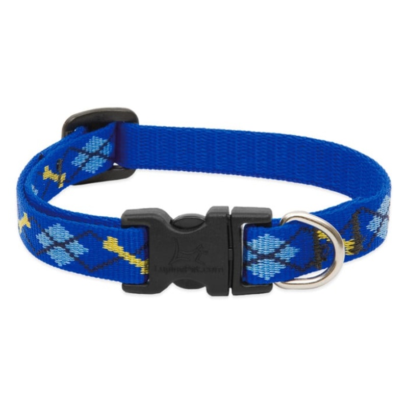 Lupine Pet Dog  1/2 In Wide 10-16 In Adjustable Collar Original Designs Dapper Dog