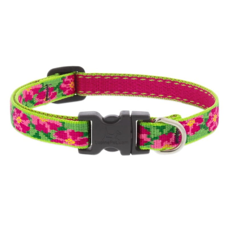 Lupine Pet Dog  1/2 In Wide 10-16 In Adjustable Collar Original Designs Petunas