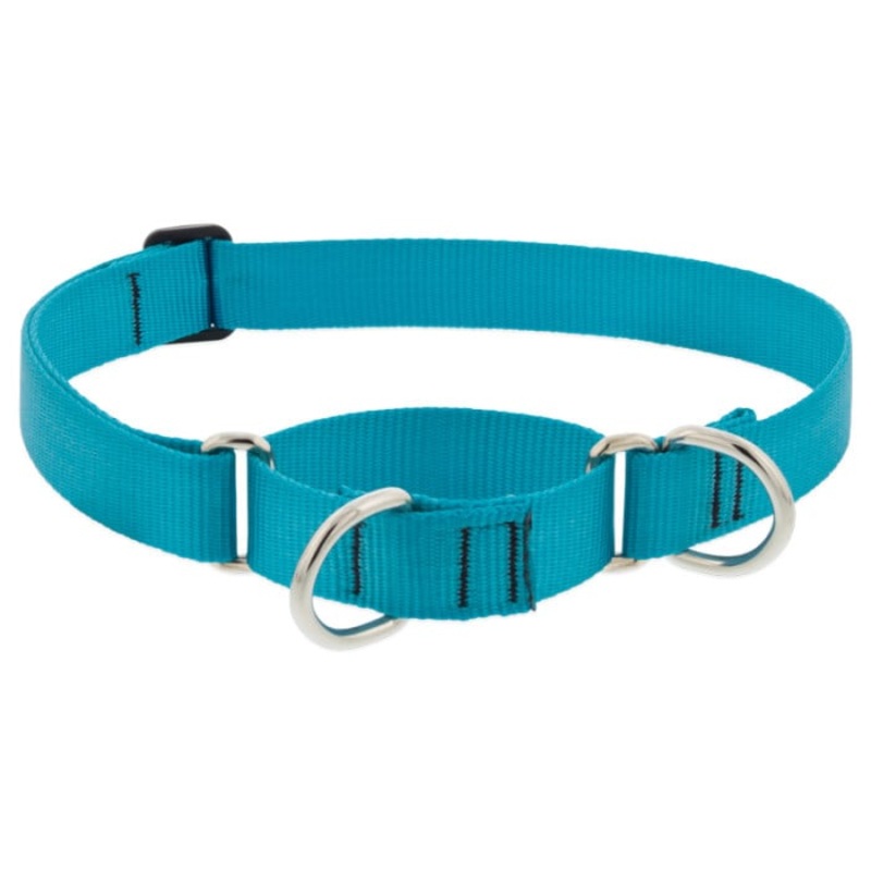 Lupine Pet Dog 1 In Wide 19-27 In Martingale Collar Basic Aqua