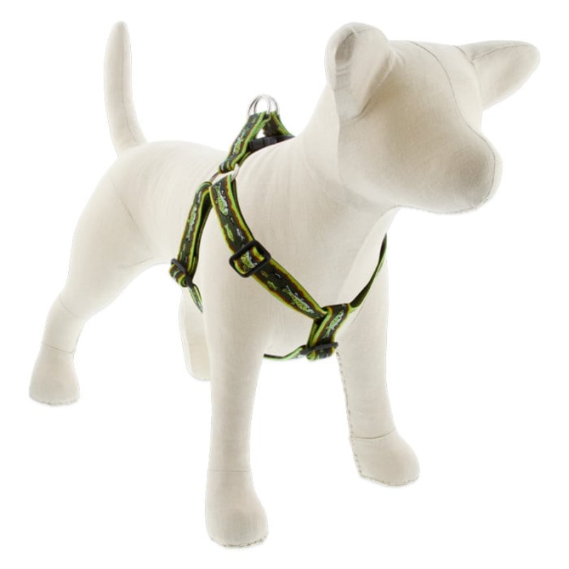 Lupine Pet Dog 1 In Wide 19-28 In Step  In Harness Original Designs Brook Trout
