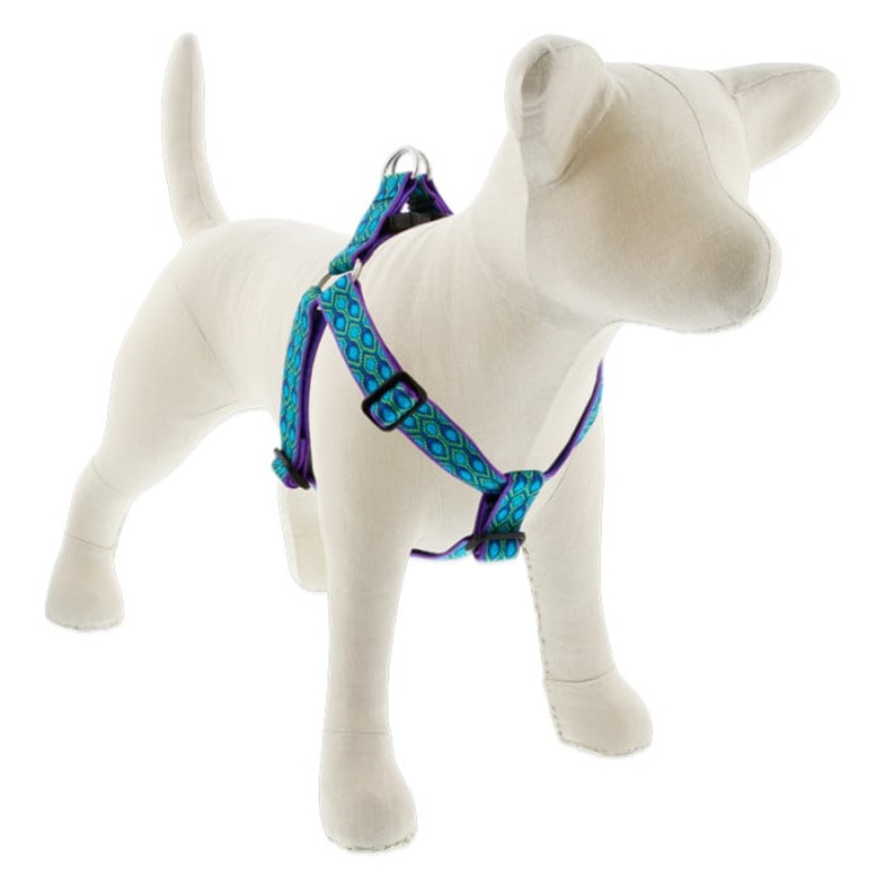 Lupine Pet Dog 1 In Wide 19-28 In Step  In Harness Original Designs Ra In Song