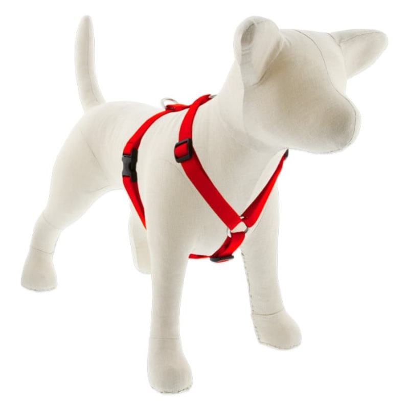 Lupine Pet Dog 3/4 In In Wide 14-24 In Roman Harness Basics Rad