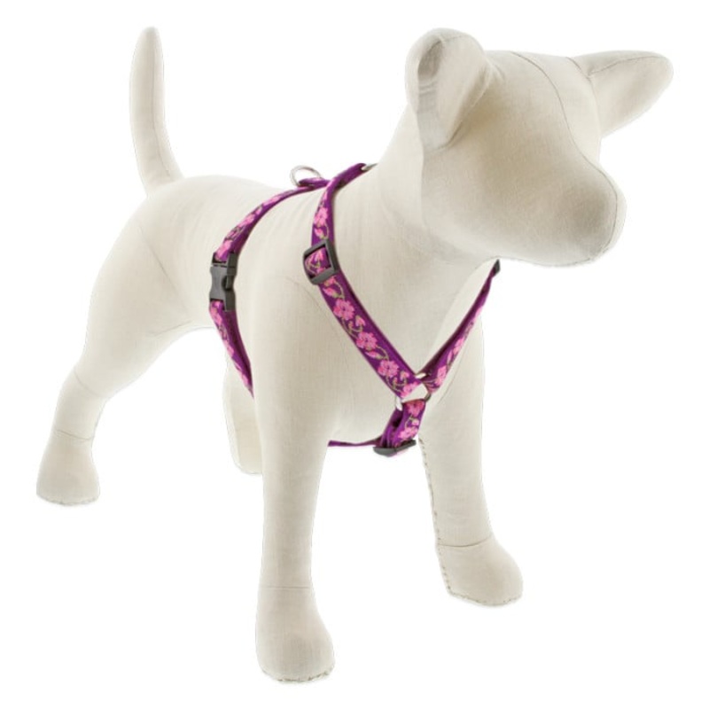 Lupine Pet Dog 3/4 In In Wide 14-24 In Roman Harness Original Designs Rose Garden