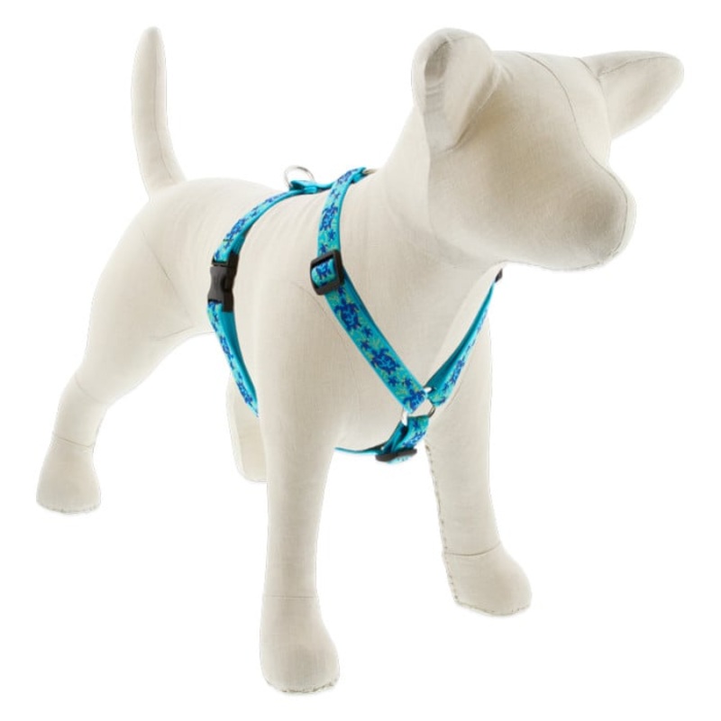 Lupine Pet Dog 3/4 In In Wide 14-24 In Roman Harness Original Designs Turtle Reef