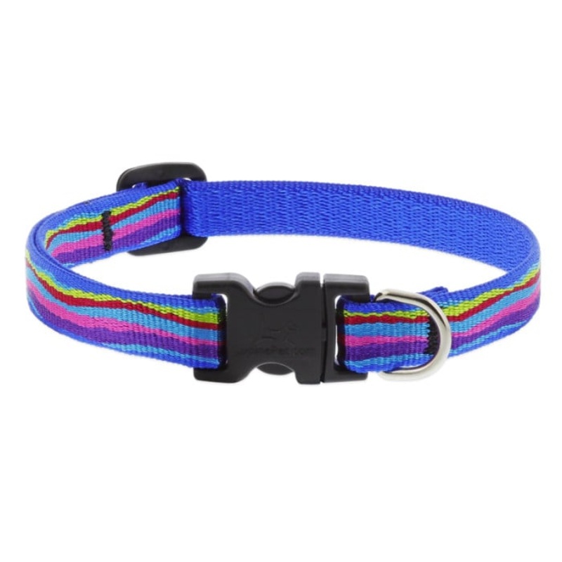 Lupine Pet  Dog 1/2 In Wide 8-12 In Adjustable Collar Original Designs Ripple Creek