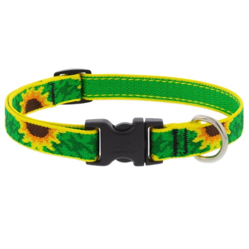 Lupine Pet Dog 3/4 In Wide 13-22 In Adjustible Collar Sunflower