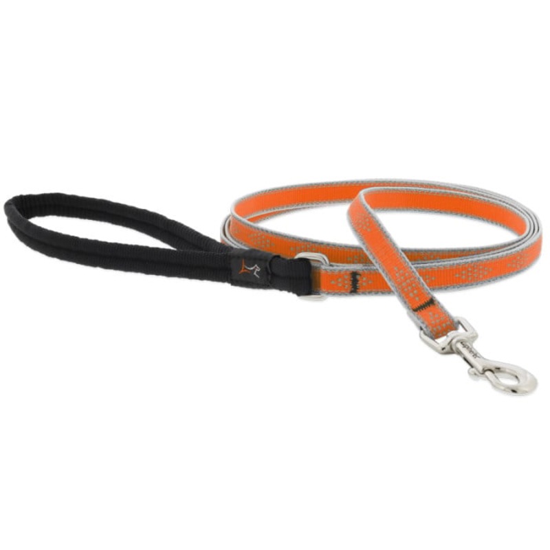 Lupine Pet Dog 6 Ft Long 1/2 In Leash Reflective Highlights Blaze Orange Diamonds