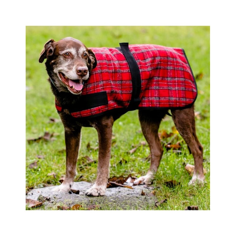 HuggleHounds Red Dog Plaid Coat Medium