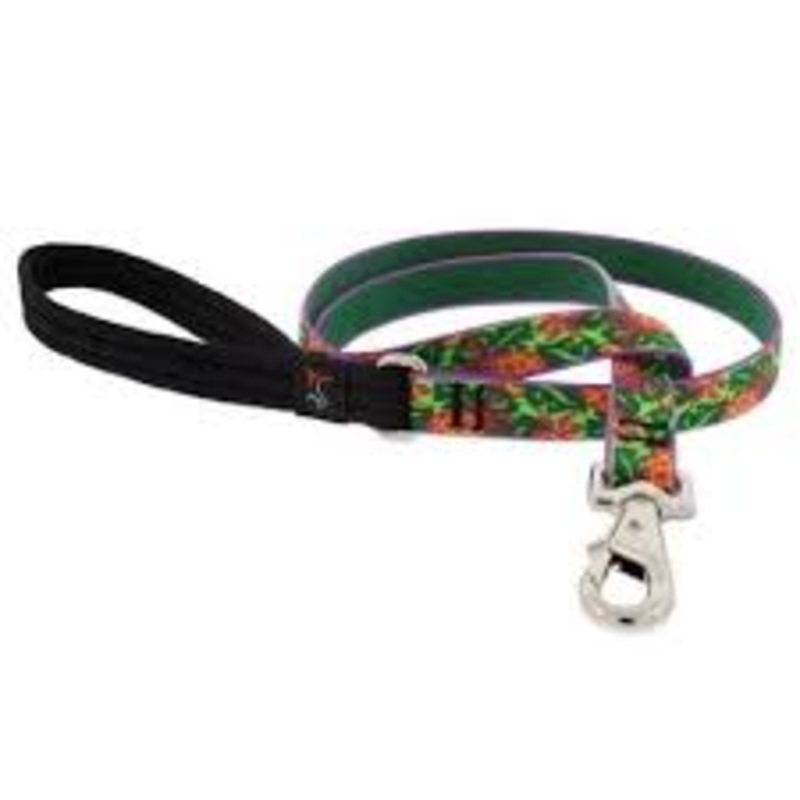 Lupine Pet Dog 6 Ft Long 3/4 In Leash Original Designs Pina Colada