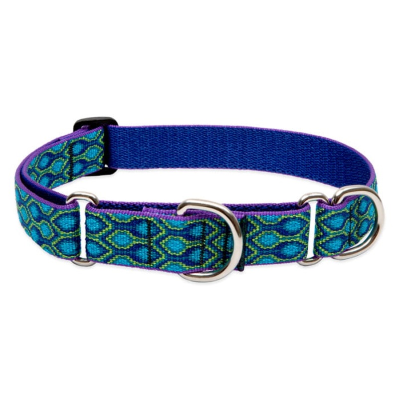 Lupine Pet Dog 1 In Wide 15-22 In Martingale Collar Original Designs Ra In Song
