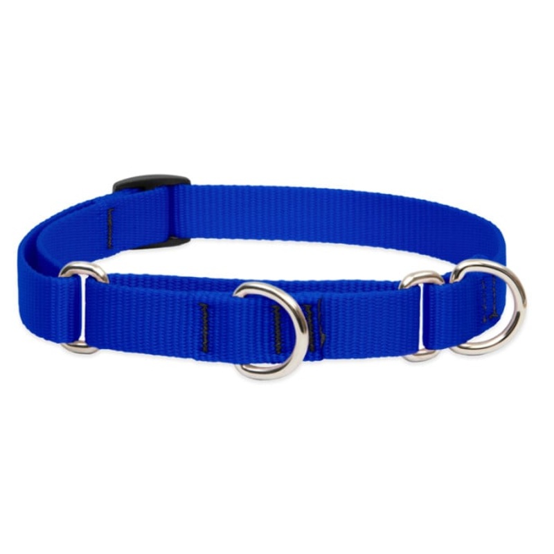 Lupine Pet Dog 3/4 In Wide 14-20 In Martingale Collar Basic Blue