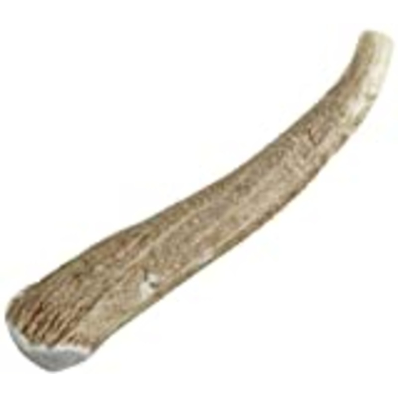 Happy Dog of Cape Cod Whole Elk Antler Dog Chew Jumbo