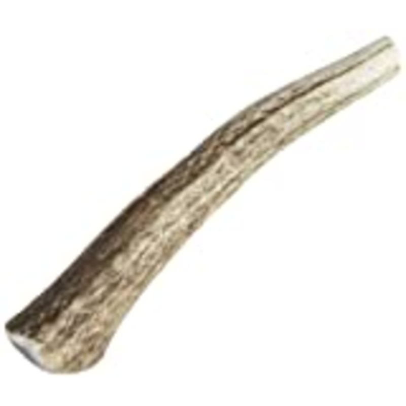 Happy Dog of Cape Cod Whole Elk Antler Dog Chew Small