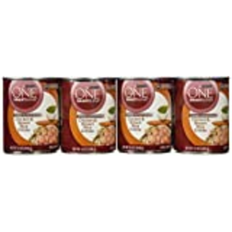 Purina ONE Natural  High Protein Gravy Wet Dog Food  SmartBlend Tender Cuts Chicken & Brown Rice  13 oz. Can