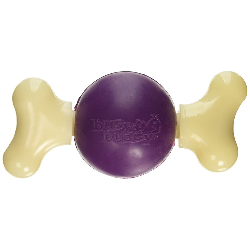 PetSafe Busy Buddy Bouncy Bone, Medium
