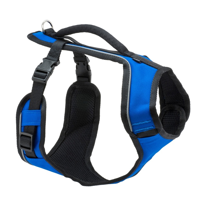 PetSafe EasySport Dog Harness  Comfortable Padding  Reflective  Large  Blue