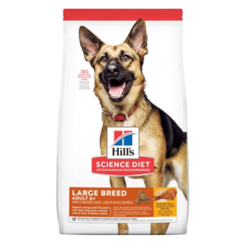 Adult Large Breed 6+