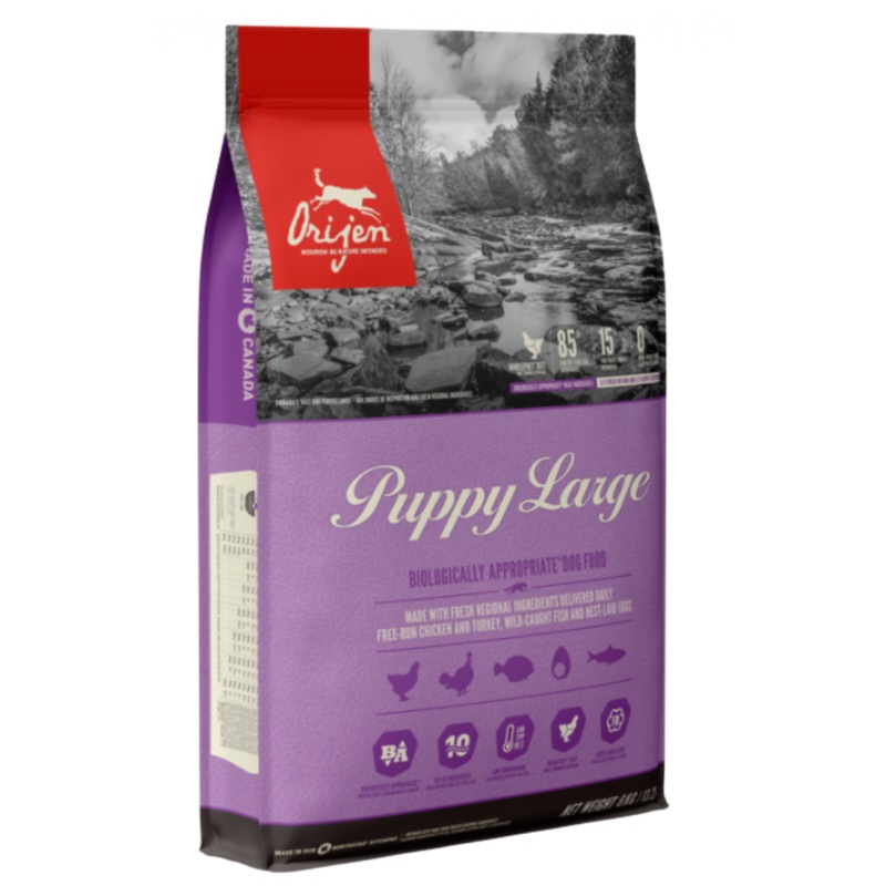 Puppy Large