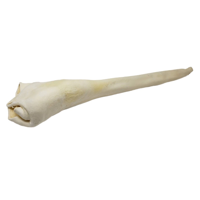 Bully Tail