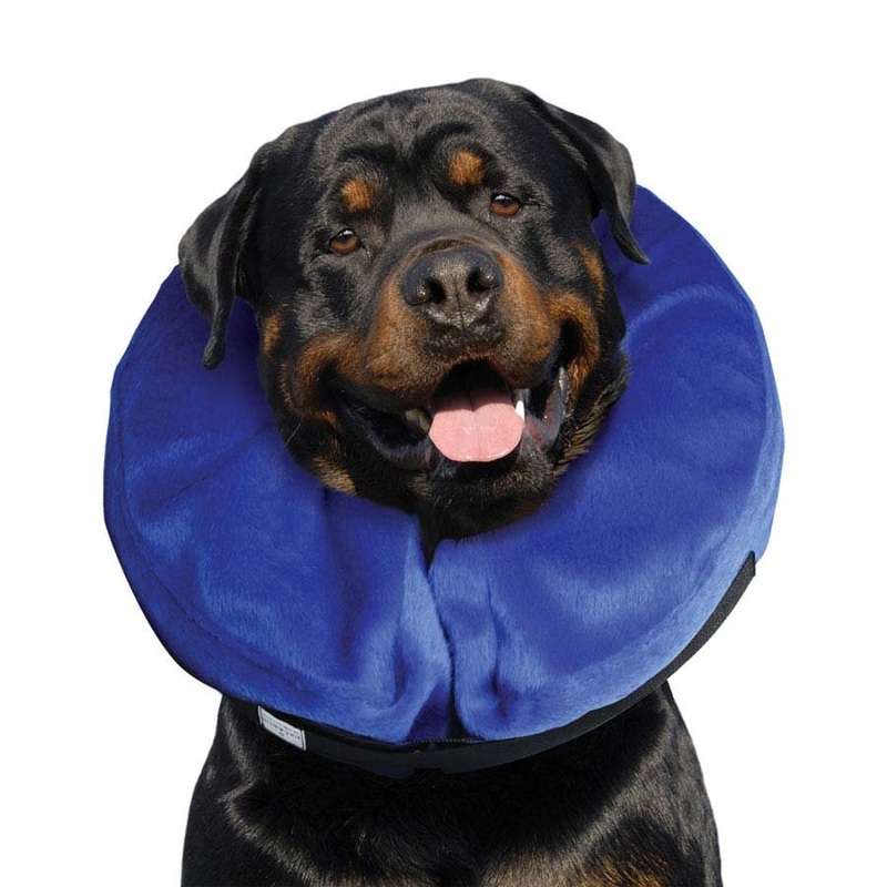 KONG Cloud Collar