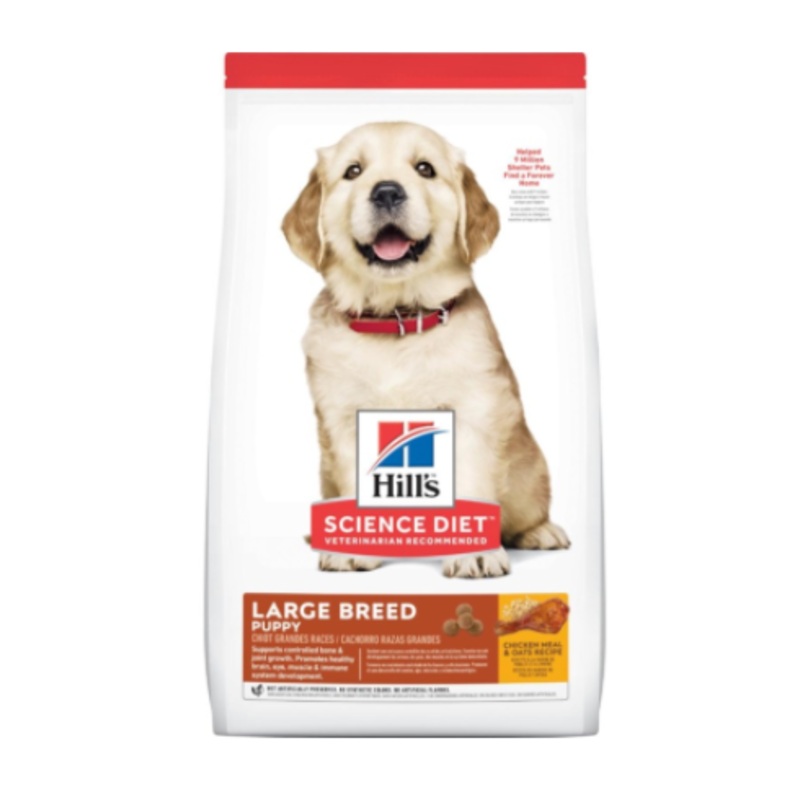 Large Breed Puppy