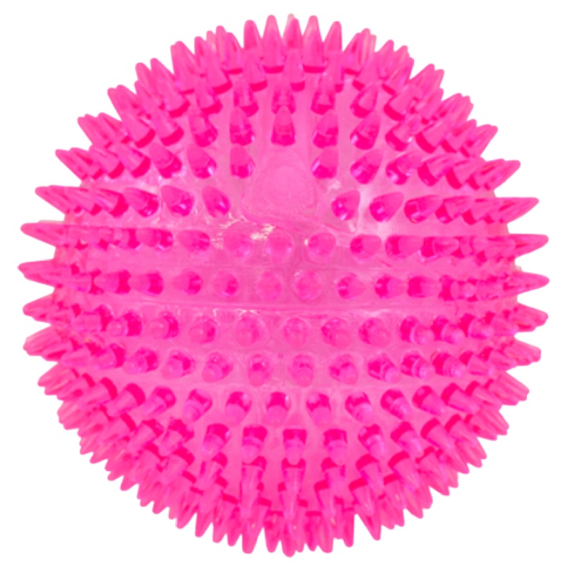 Squeaker Ball
