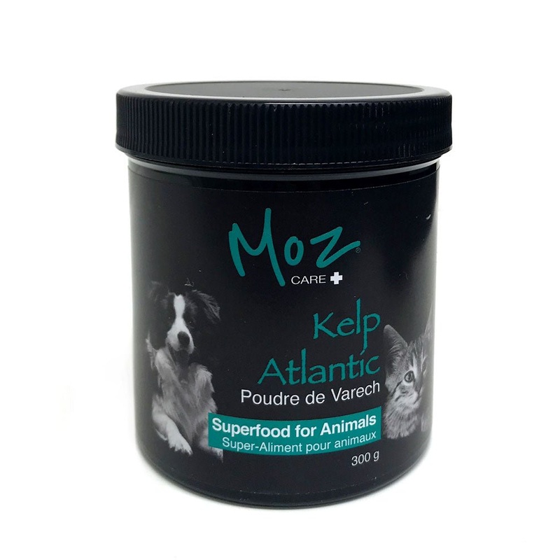 Moz Care Atlantic Sea Kelp Powder