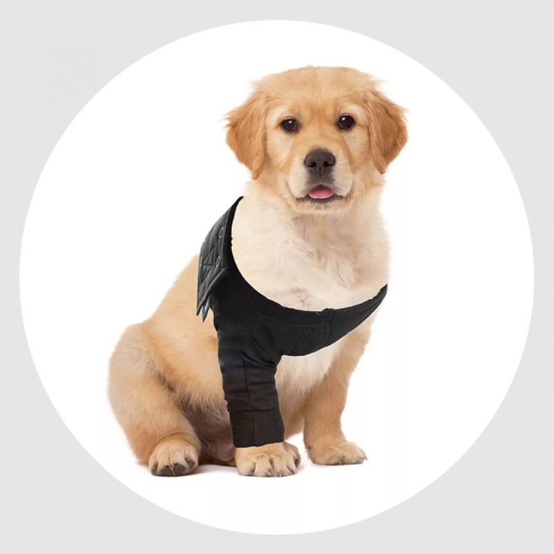Suitical Recovery Sleeve - Dog