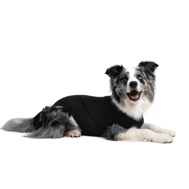 Suitical Recovery Suit - Dog