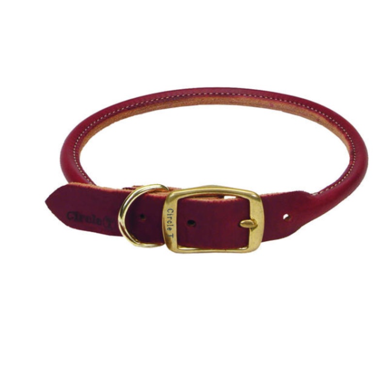 Latigo Leather Round Collar w/Brass 22x1"