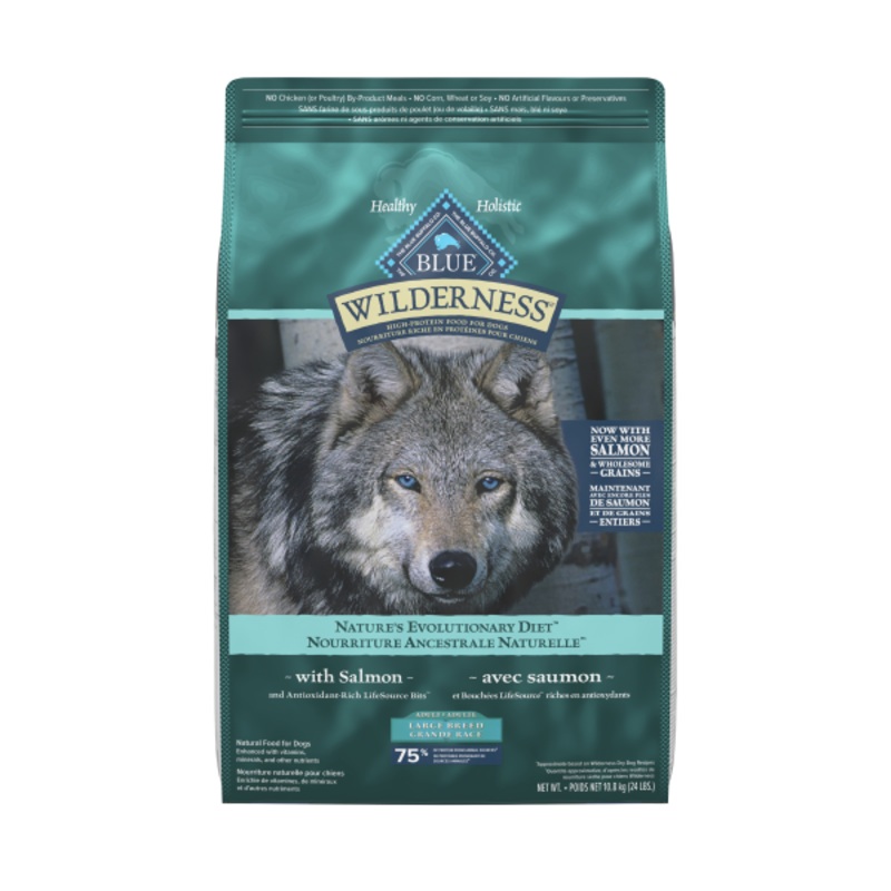 BB WILD Lrg Brd Adult Salmon MM w/Grain 24lbs