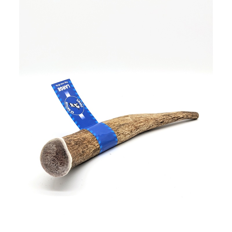 EZ Large Full Antler