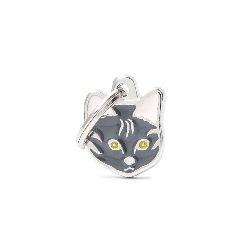 TABBY EUROPEAN SHORTHAIR ID TAGS