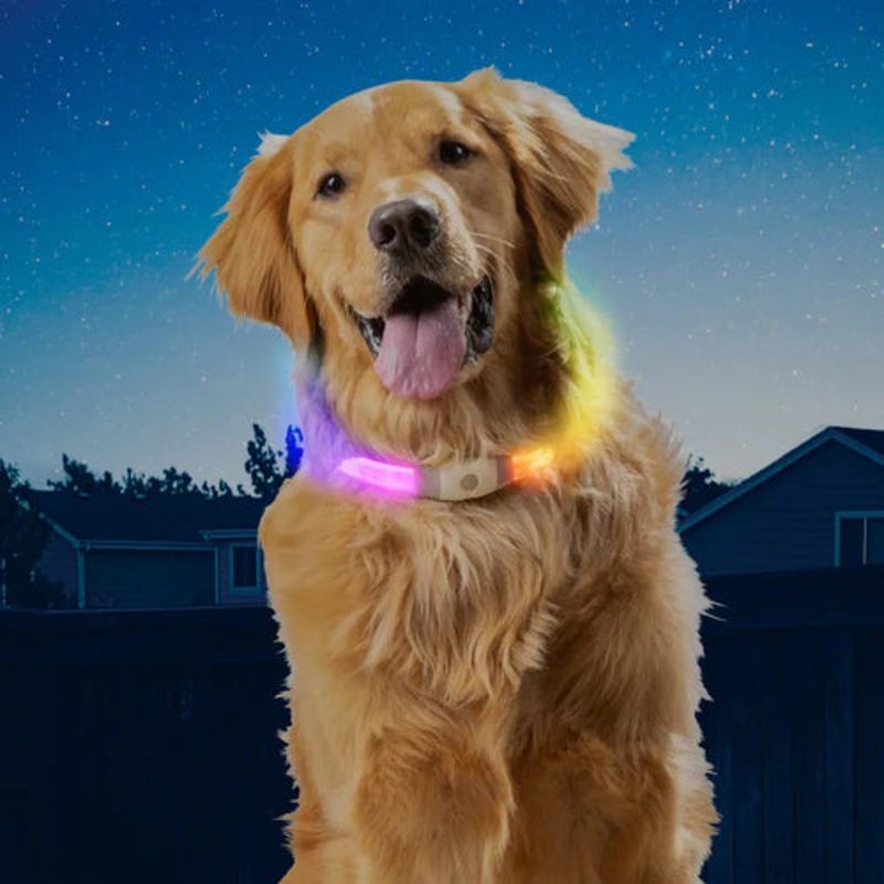 NiteHowl LED Max Safety Necklace Disco Select