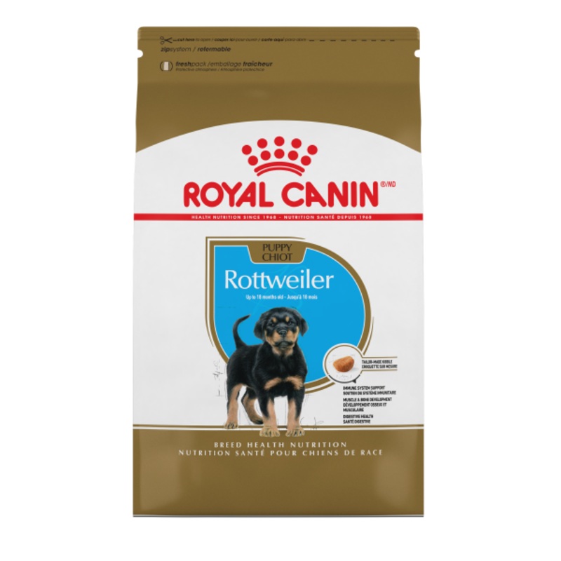 RC BHN Rottweiler Puppy 30lbs