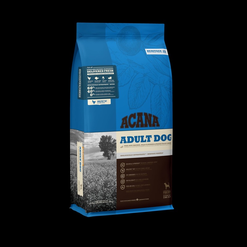 ACN Heritage Adult Dog