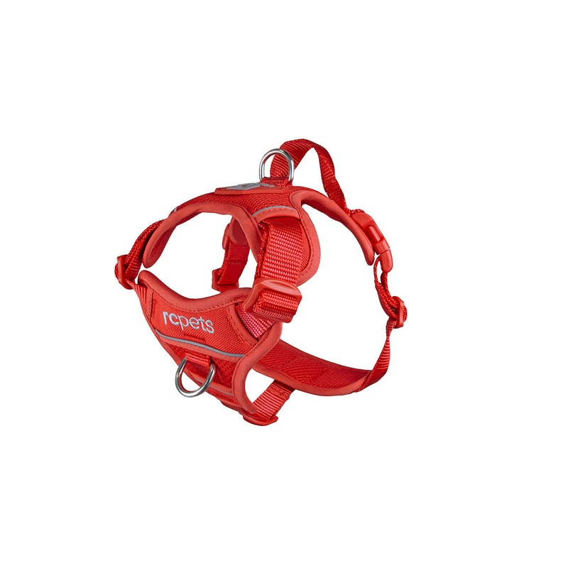 RC Momentum Harness Goji Berry Sml