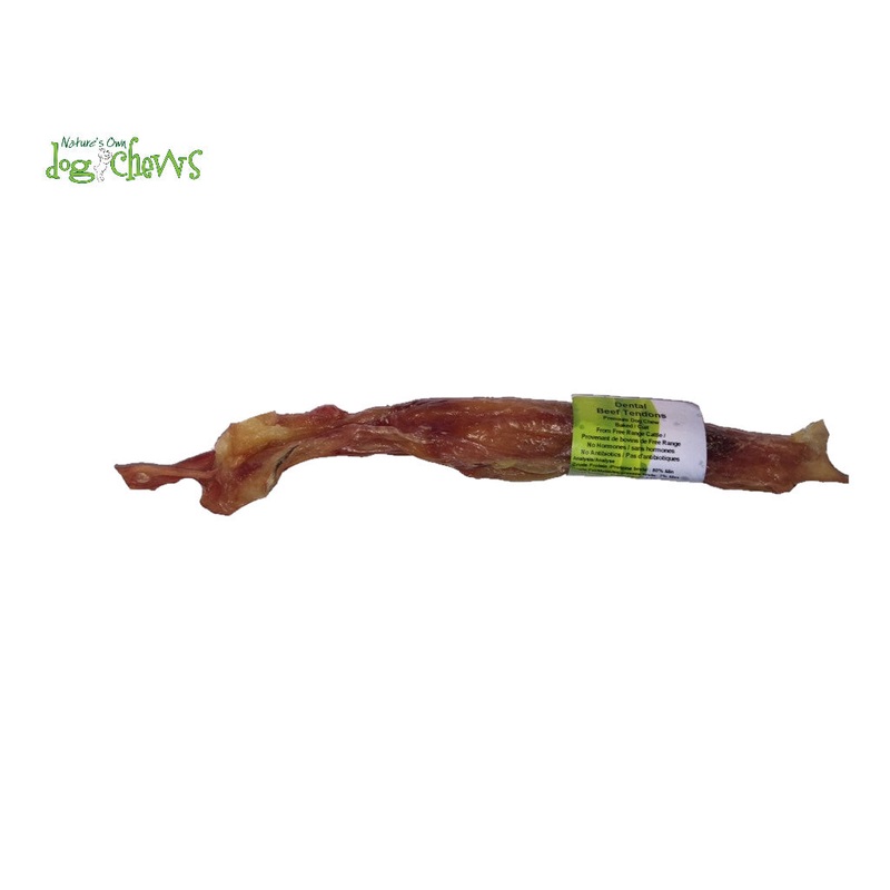 Dental Beef Tendon (Over 9" )