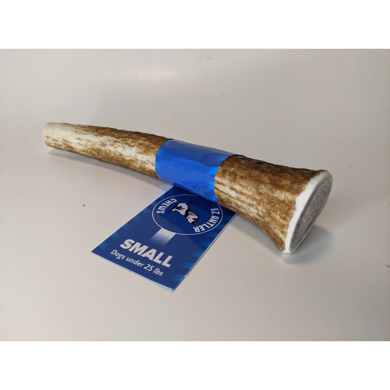 EZ Antler Small Antler FULL