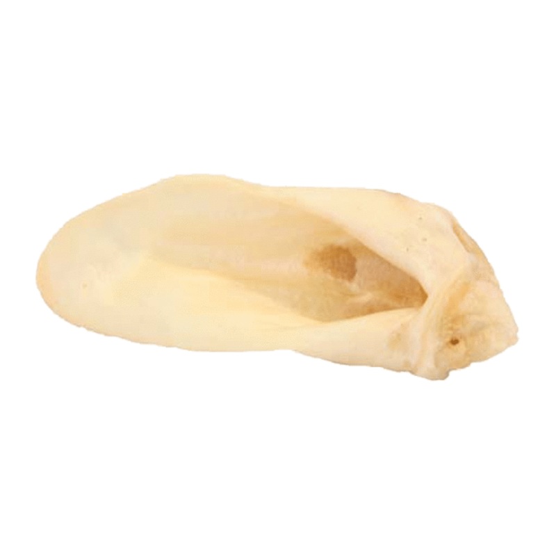 Lamb Ears