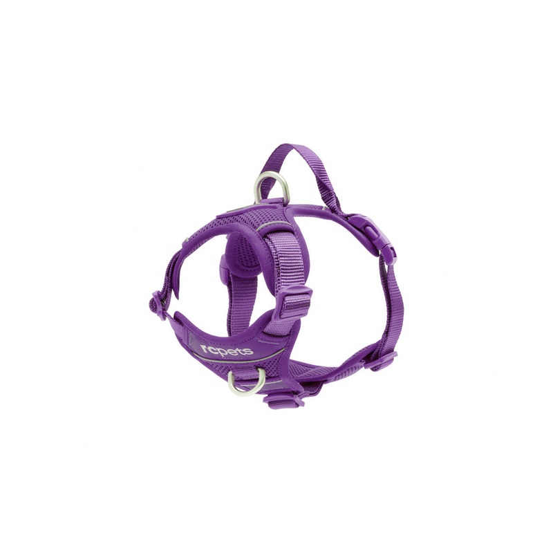 RC Momentum Harness Black Lrg