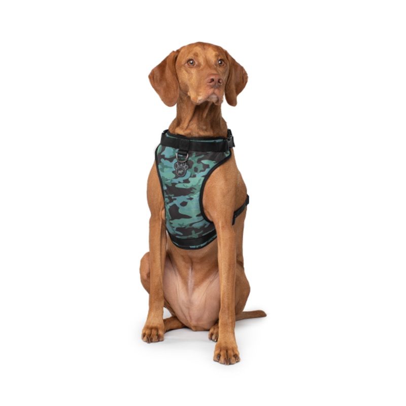 Canada Pooch Everything Harness