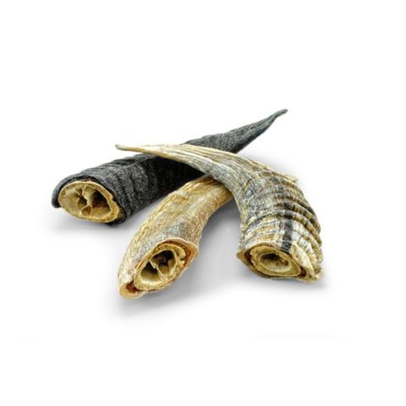 Icelandic+ Lamb Horn with Marrow Small