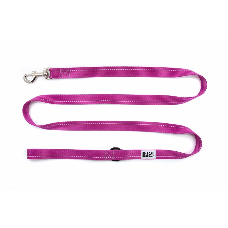 RC Pets Primary Dog Leash 6FT- Mulberry